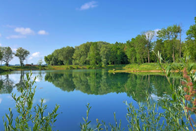 Ein Badeweiher an der Mindel bei Mindelzell - Maiengrün, Morgensonne und Windstille - paradiesische Zustände!