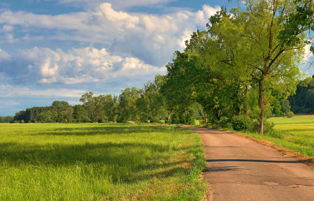 Das untere Mindelried - zwischen Thannhausen und Oberrohr gelegen. Herrliches Wetter - am 5.Juli 2023.