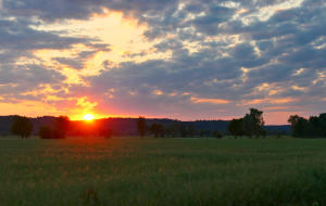 Zur Zeit haben wir traumhaftes Sommerwetter - da darf ein Sonnenuntergang im Mindeltal nicht fehlen. (14.Juni 2023)