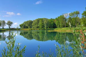 Ein Badeweiher an der Mindel bei Mindelzell - Maiengrün, Morgensonne und Windstille - paradiesische Zustände!