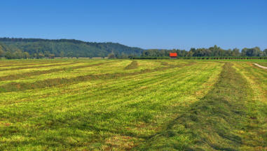 Der Wohlgeruch einer frischgemähten Wiese läßt sich leider auch mit modernster Bildtechnik (noch)nicht  versenden - so bleibt es ein Privileg der Landbevölkerung diesen Duft 'live' zu genießen. Blick ins Mindeltal westlich von Thannhausen.