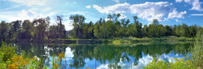 1.September - Herbstbeginn! Stimmungsbild vom Mindeltalradweg bei Mindelzell.