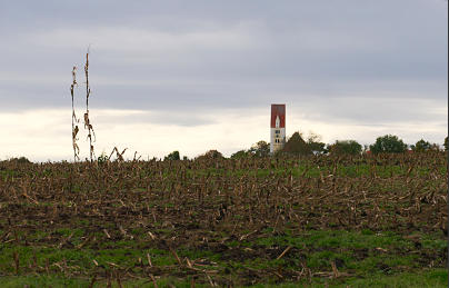 Abgeerntet - ein Maisstoppelfeld bei Burg