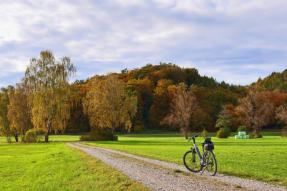 Herbst im Mindeltal - hier bei Oberrohr.