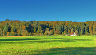 Herbststimmung im Mindeltal. Der Ochsenberg, ein Waldstück zwischen Mindelzell und Bayersried, wird von der Morgensonne angestrahlt. (22.10,23.)