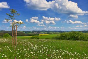 Blick von der Burger Fluren ins Zusamtal - im Mai 2022.