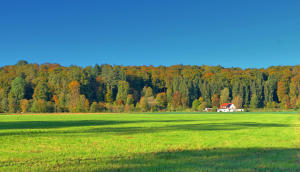 Herbststimmung im Mindeltal. Der Ochsenberg, ein Waldstück zwischen Mindelzell und Bayersried, wird von der Morgensonne angestrahlt. (22.10,23.)