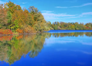 'Herbst' - ein Weiher in der Morgensonne. 25.10.23.