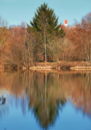 Ein Weiher im Mindeltal - im Hintergrund spitzt die Kirche vom Thannhauser Ortsteil Burg hervor.