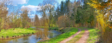 Frühlingsstimmung am Mindeltalradweg.