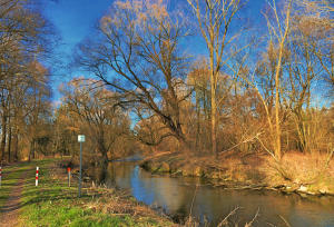 Der Frühling kommt mit großen Schritten - hier am Mindeltalradweg südlich von Thannhausen.