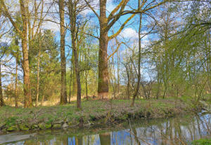 ... hier am Mindeltalradweg bei Mindelzell.