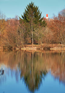 Ein Weiher im Mindeltal - im Hintergrund spitzt die Kirche vom Thannhauser Ortsteil Burg hervor.