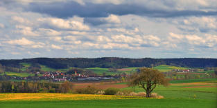 Blick von der Burger Fluren ins Zusamtal.(23.4.23.)