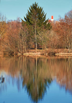 Ein Weiher im Mindeltal - im Hintergrund spitzt die Kirche vom Thannhauser Ortsteil Burg hervor.