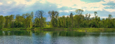 Ein Weiher im Gegenlicht - am Mindeltalradweg während einer Regenpause am 15.Mai 2023.