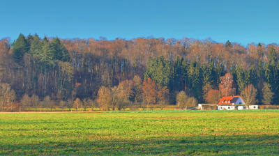 Der Ochsenberg zwischen Mindelzell und Bayersried - im schneefreien Mindeltal am 16.12.2023 .