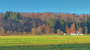 Der Ochsenberg zwischen Mindelzell und Bayersried - im schneefreien Mindeltal am 16.12.2023 .