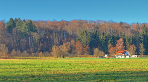 Der Ochsenberg zwischen Mindelzell und Bayersried - im schneefreien Mindeltal am 16.12.2023 .