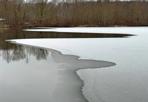 'Halbgefrorenes' - die Speisenkarte des Winters in unseren Gefilden hat zur Zeit nicht viel zu bieten - dem Fotograf solls recht sein.