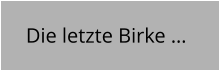 Die letzte Birke …